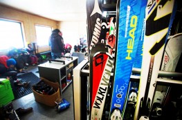 Sport Arena 